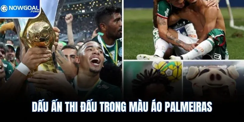 Gabriel Jesus Trở Thành Niềm Hy Vọng Số Một Của Arsenal 3 Dấu ấn thi đấu trong màu áo Palmeiras